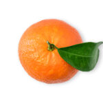 Clementine al kg
