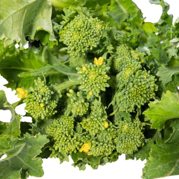 Cime di Rapa Pulite 2 kg - immagine 3