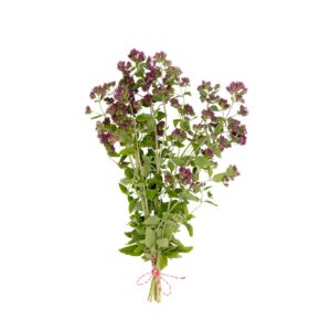 Origano al mazzo