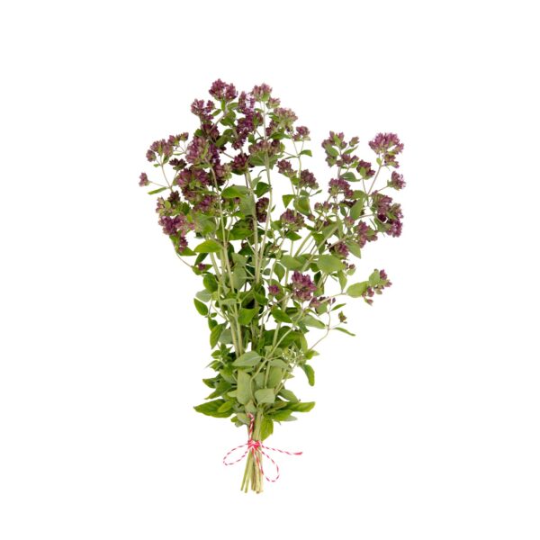 Origano al mazzo